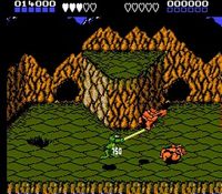 une photo d'Ã©cran de Battletoads sur Nintendo Nes